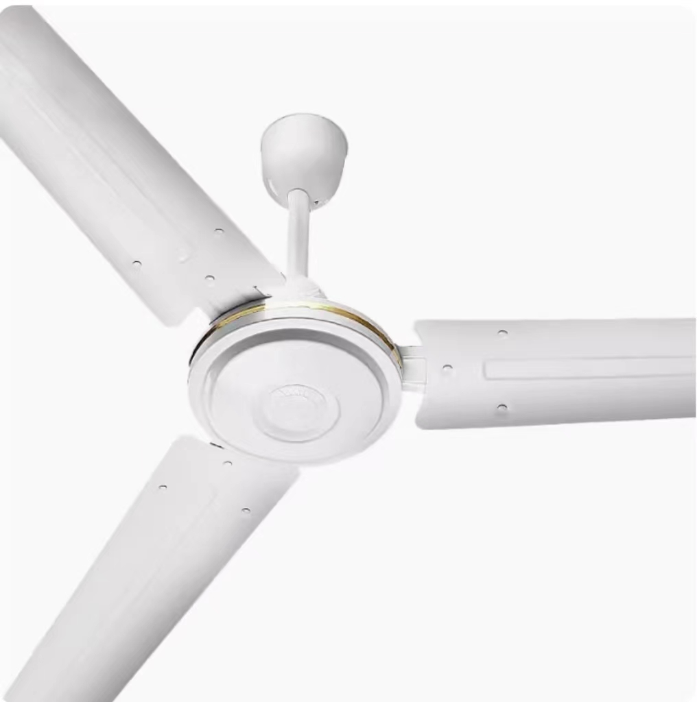 Ceiling fan